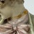 Green Antique Ernst Wahliss Teplitz Austrian Porcelain Busts – 9.5" Male & Female Pair For Sale - Image 8 of 11