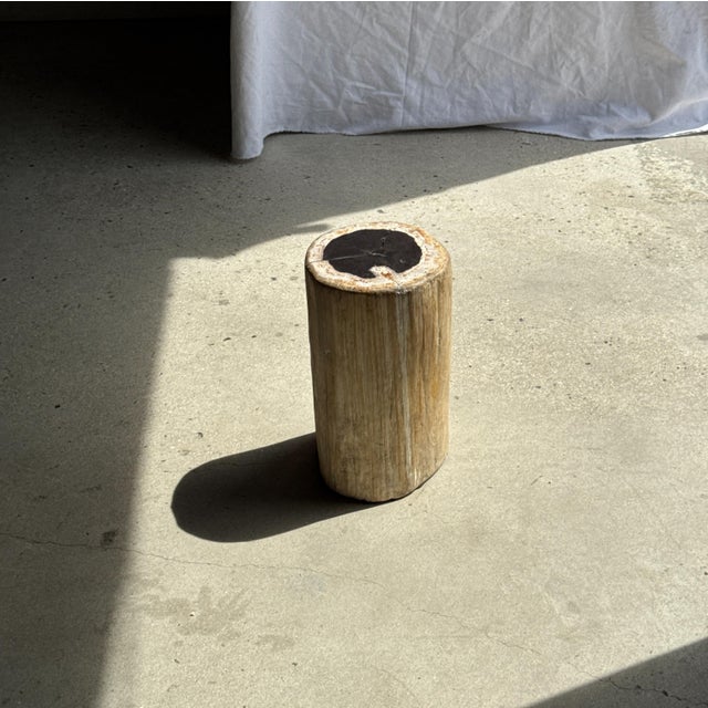 Stone Side Table in Petrified Wood, Black Heartwood and White Bark, 1980s For Sale - Image 7 of 18