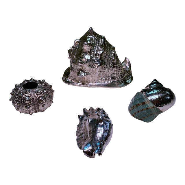 Vintage Shells Dipped in Sterling- Set of 4 For Sale