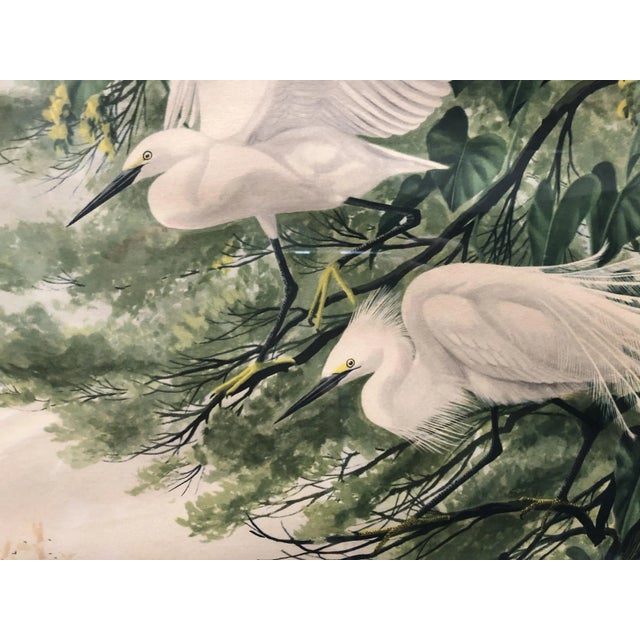Mid-Century Modern 1940s Post-War Tropical Cranes Print in Original Frame For Sale - Image 3 of 6