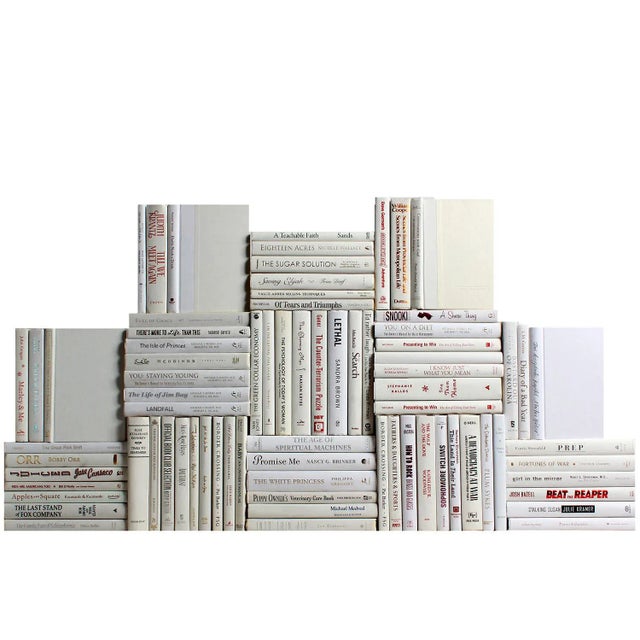 Transitional Decorative Books - Snowfall Book Wall - Set of 75 White Books For Sale - Image 3 of 3