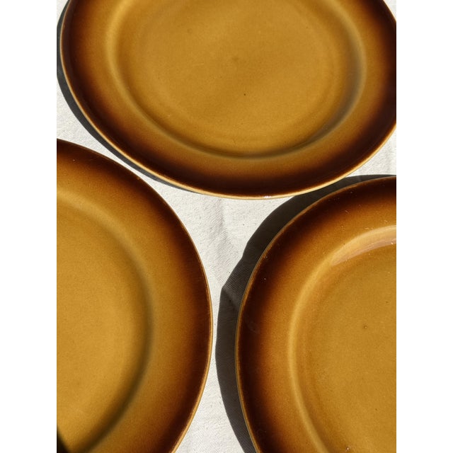 Dark Brown and Yellow Stoneware Plates, 1980s, Set of 11, in Very Good conditions. Designed 1980 to 1989