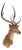 White-Tailed Deer Trophy For Sale