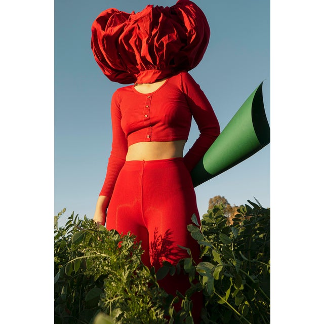 Carla Sutera Sardo, Fleur Surrealist, 2022, Photographic Print For Sale - Image 3 of 5