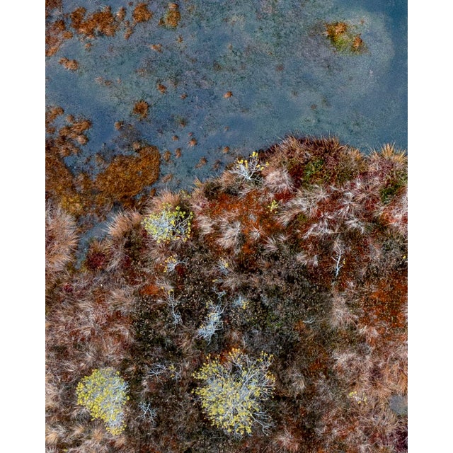 Not Yet Made - Made To Order "The_Bog_002" Contemporary Limited Edition Fine Art Photograph Print by Bernhard Lang For Sale - Image 5 of 8