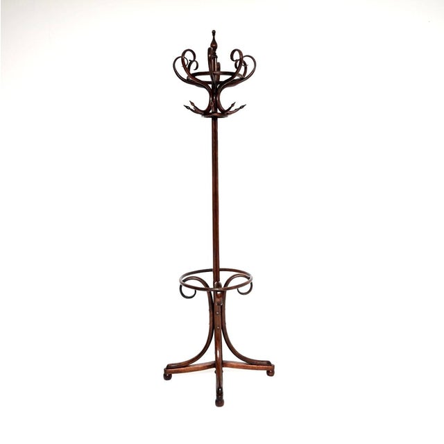 Antique Victorian Bentwood Coat Rack, 1880s For Sale - Image 10 of 10