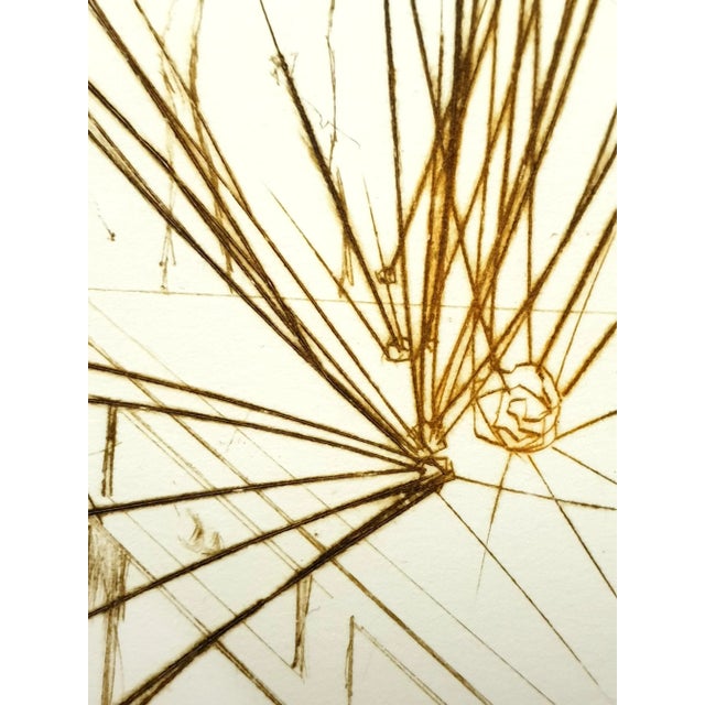 Salvador Dali, Pierre Curie, 1970, Engraving For Sale - Image 6 of 8