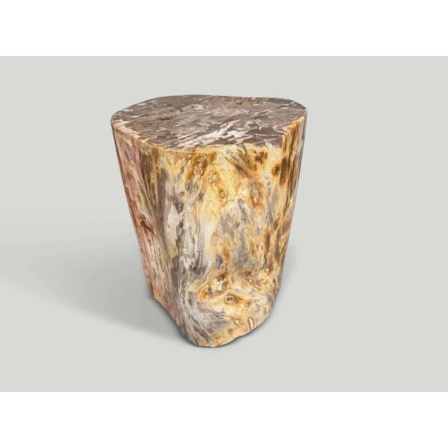 2010s Andrianna Shamaris Coral Toned High Quality Petrified Wood Side Table For Sale - Image 5 of 5