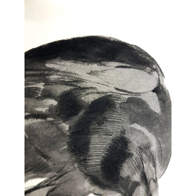 Paul Jouve - Eagle - Original Engraving 1950 For Sale - Image 6 of 8