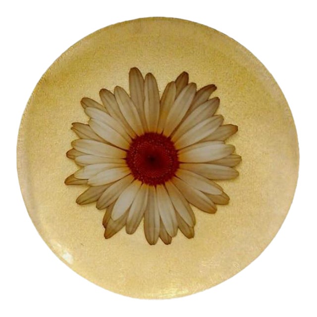 1950s Rare Orchidea Bomboniere Daisy Dinner‎ Plate Yellow Textured Clear Blown Glass Nostalgia Hippie For Sale