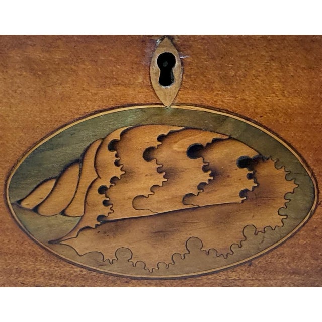 Georgian Satinwood Tea Caddy Butterfly Inlay, 1790 For Sale - Image 3 of 13