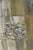 Mid 20th Century Mid 20th Century Joe Testa-Secca Untitled Figural Abstract For Sale - Image 5 of 6