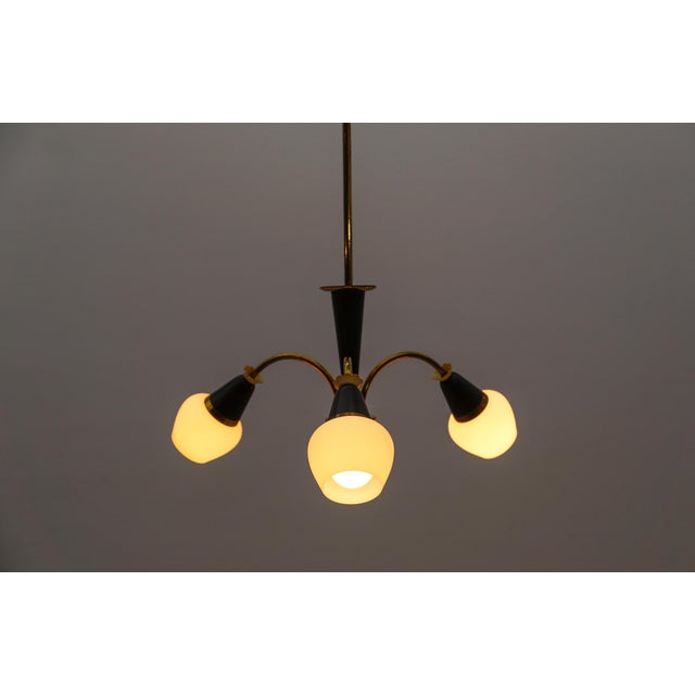 Mid-Century Modern Brass 3-Armed Sputnik Lamp, 1950s For Sale - Image 6 of 13