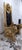 White 1960s Royal Lion Throne Chair with Matching Lion Scepter For Sale - Image 8 of 10