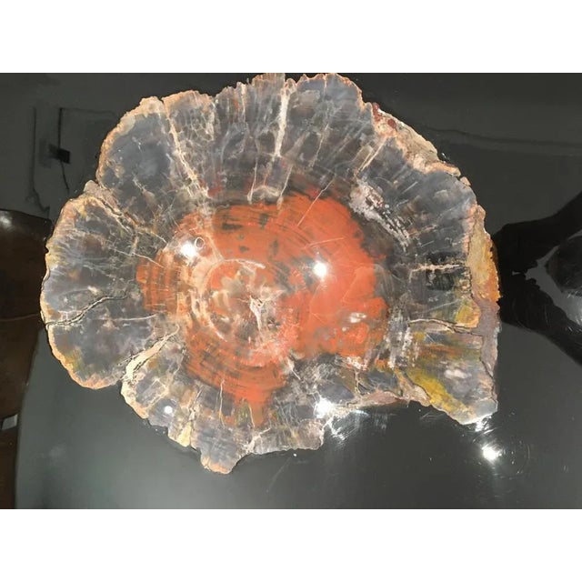 Circular Coffee Table in Black Resin and Petrified Wood by Ado Chale For Sale - Image 4 of 6