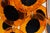 Vintage Space Age Chandelier in the style of Gino Vistosi, 1970s For Sale - Image 6 of 10