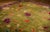 1920s 1920s Green Field Floral & Purple Border Knotted Wool Antique Chinese Art Deco Rug For Sale - Image 5 of 9