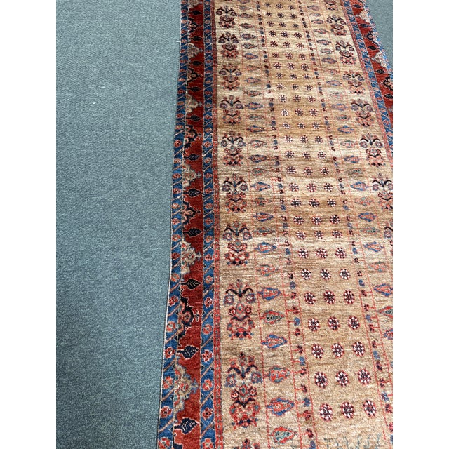 2ft 10in × 11ft 1in Iranian Gabbah Runner Rug For Sale - Image 12 of 13