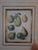 Bountiful Fruit - 4 Prints Mounted and Framed For Sale In Boston - Image 6 of 12
