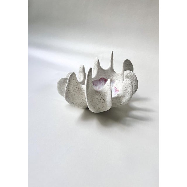Ceramic Coral Bowl by N'atelier For Sale - Image 13 of 16