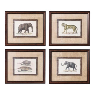 Set of Four Animal Stone Lithographs For Sale