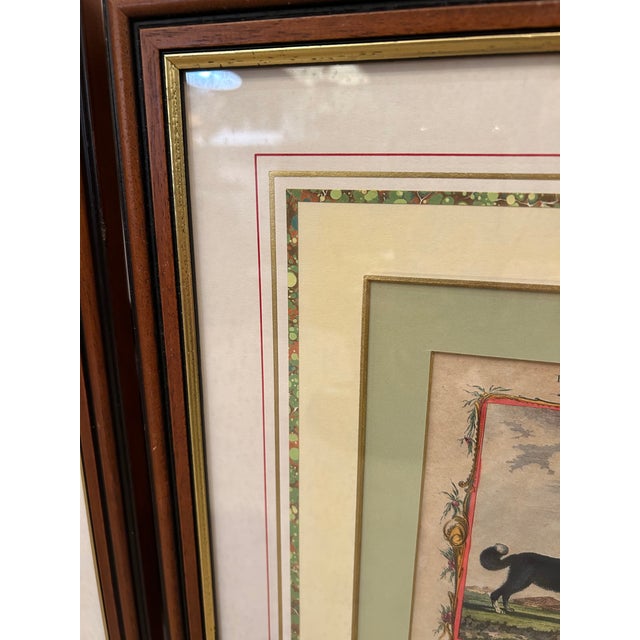 Framed 18th Century Dog Engravings -A Pair For Sale - Image 9 of 11