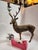 Brass Beautiful Solid Brass Stag Candleabra For Sale - Image 8 of 11