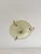 Mid-Century Italian Style Ceiling Lamp in the Style of Stilnovo, 1950s For Sale - Image 9 of 9