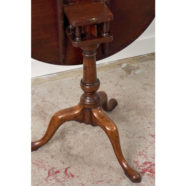 18th Century Georgian Tripod Rotating Table With Cage For Sale In Charleston - Image 6 of 6