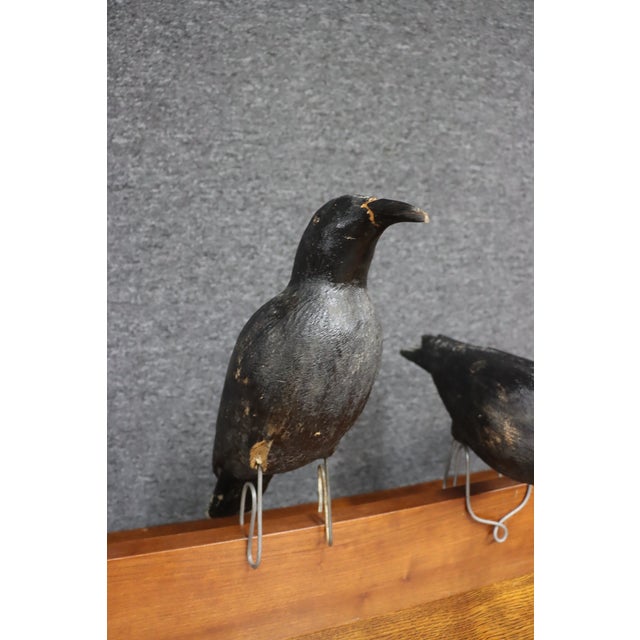 Early 20th Century Folk Art Crow Decoys – Set of Three For Sale - Image 5 of 18