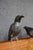 Early 20th Century Folk Art Crow Decoys – Set of Three For Sale - Image 5 of 18