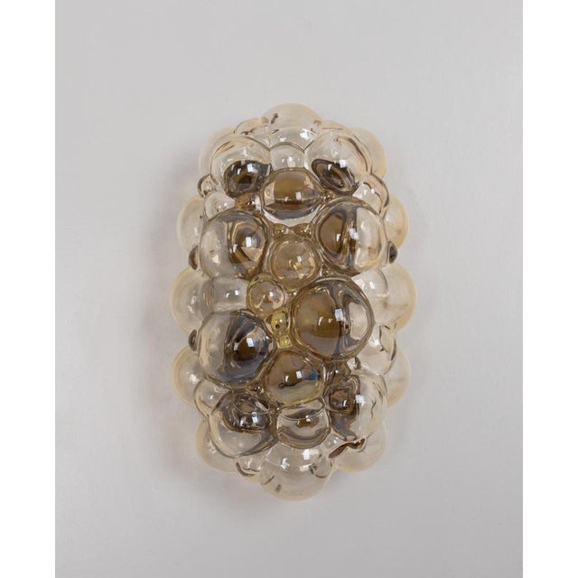 Amber Bubble Glass Sconce by Helena Tynell for Limburg, Germany, 1960s For Sale - Image 3 of 16