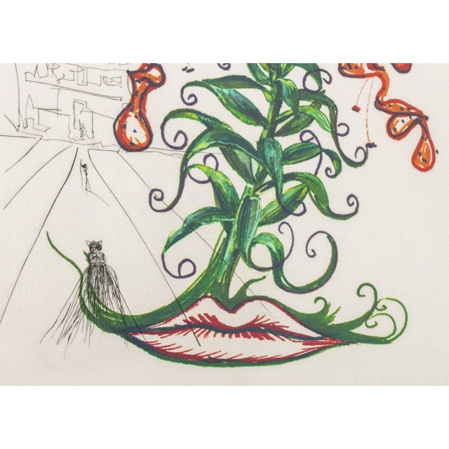 Salvador Dali "Tiger Lily (Mustache)" Etching 1972 For Sale In New York - Image 6 of 11