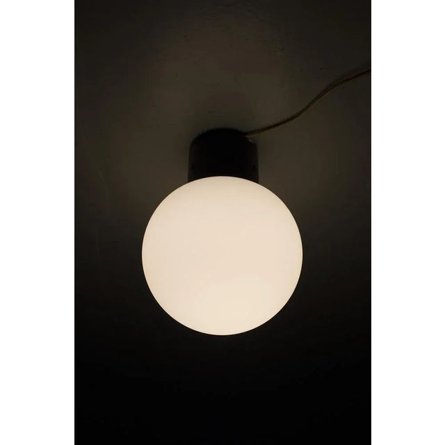 Sleek Glashütte Limburg ceiling light with black holder and white glass. In good vintage condition. 75 pcs in stock....