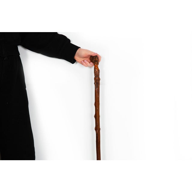 Early 20th Century Antique Folk Art Carved Walking Stick Whistle Cane For Sale - Image 16 of 18