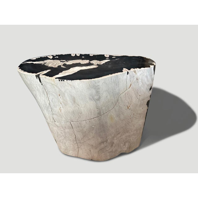 Andrianna Shamaris Striking Ancient Petrified Wood Side Table For Sale - Image 4 of 6