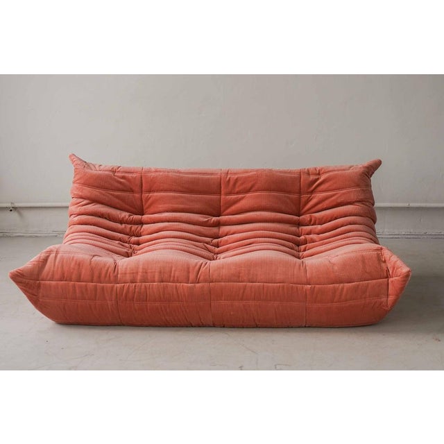 Coral Corduroy Togo Three-Seat Sofa by Michel Ducaroy for Ligne Roset For Sale - Image 12 of 12