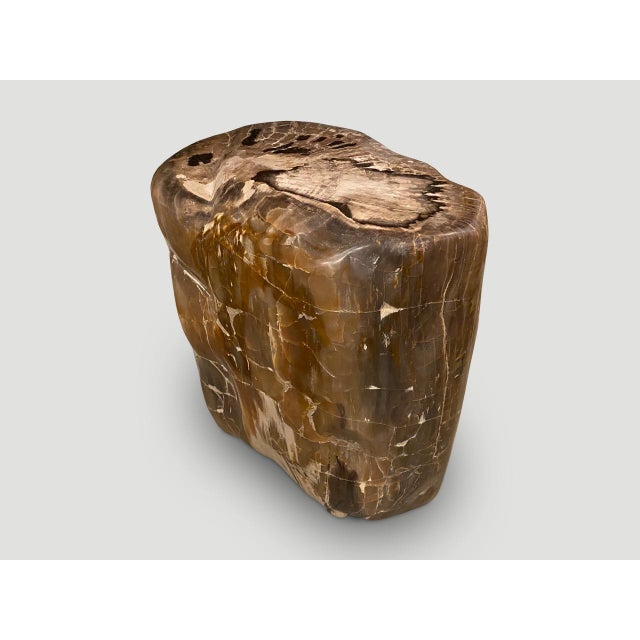 Andrianna Shamaris Ancient Petrified Wood Side Table For Sale - Image 4 of 6