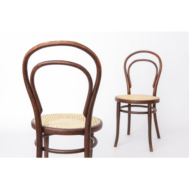 Antique Bentwood Chairs from Gebrüder Thonet, 1890s, Set of 2 For Sale - Image 4 of 12