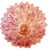 Pink Amethyst Murano Glass Leaves Ceiling Light, 1990s For Sale - Image 14 of 18