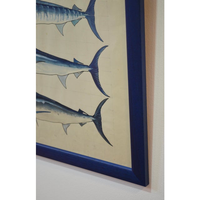 After Walter Stackpool, Marlin, 1970s, Gouache on Paper, Framed For Sale - Image 4 of 9