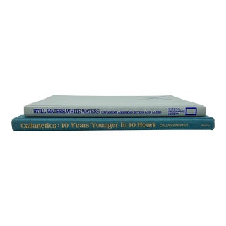 Vintage Light Blue Decorative Hardcover Books Set of 2 For Sale