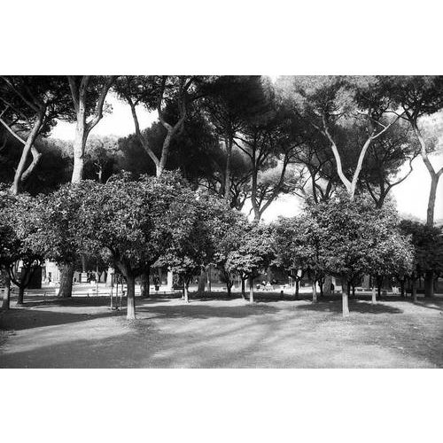 Contemporary Paul Cooklin, Parco Savello, Silver Gelatin Photograph, Limited Edition of 10 For Sale - Image 3 of 3