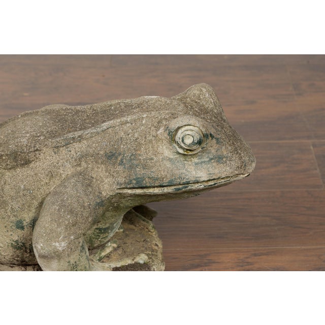 Late 20th Century American Giant Stone Frog with Patina, Originally Used as a Fountain For Sale In Atlanta - Image 6 of 11