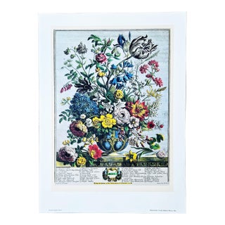 1980s Vintage Robert Furber May Botanical From "Twelve Months of Flowers” Pierpont Morgan Library Print For Sale