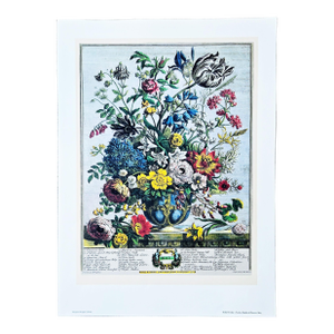 1980s Vintage Robert Furber May Botanical From "Twelve Months of Flowers” Pierpont Morgan Library Print