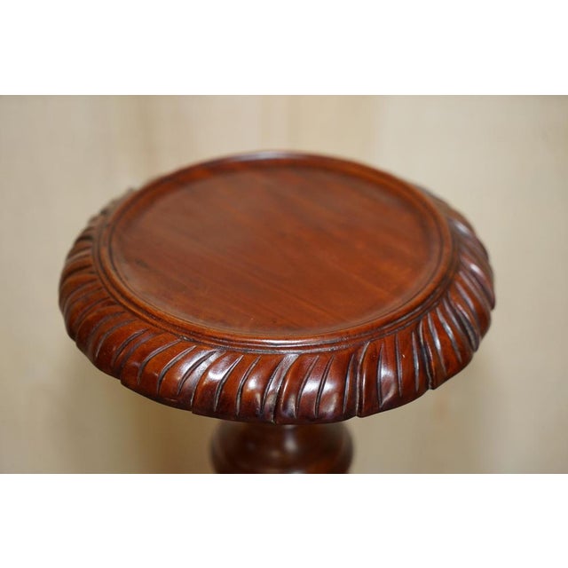 Hand Carved Fruitwood Vine Display Stands with Claw and Ball Feet, Set of 2 For Sale - Image 5 of 14