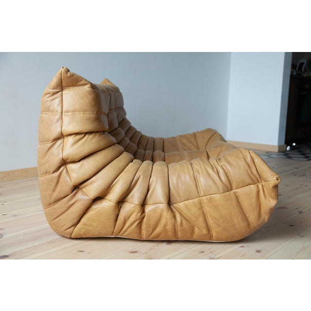 Brown Camel Brown Leather Togo 2-Seater Sofa attributed to Michel Ducaroy for Ligne Roset For Sale - Image 8 of 10