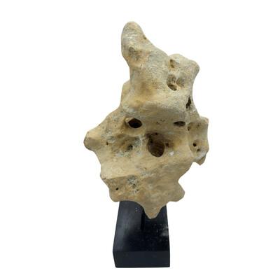 Natural coral stone from Indonesia with a sandy hue, displayed on a handcrafted teak stand. Its organic texture and warm...