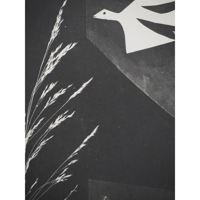 Pablo Picasso, The Man with the Bird, Collotype For Sale - Image 3 of 6